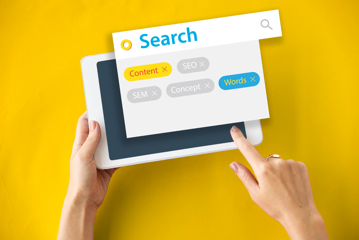 Search